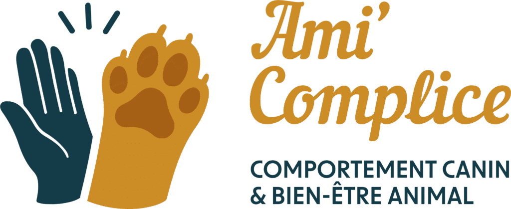 Faire appel à un éducateur canin dans l'Allier (03)