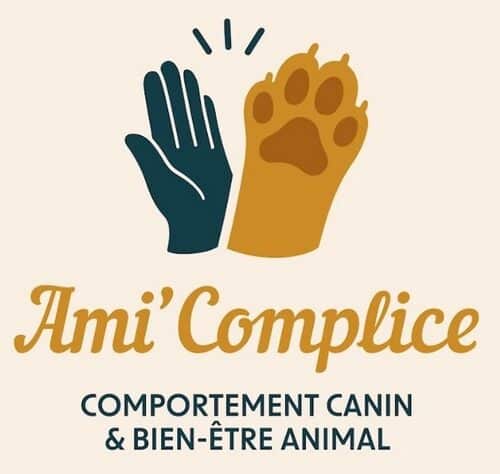 Education canine, comportement et pet-sitting à Vendat