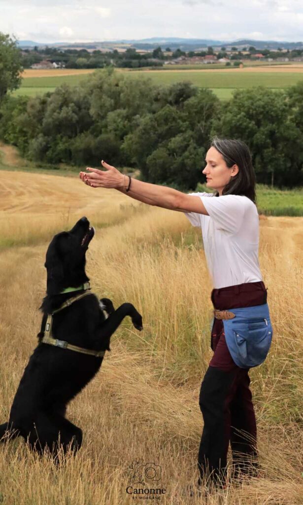 Séance individuelle d’éducation canine à domicile dans l’Allier 03