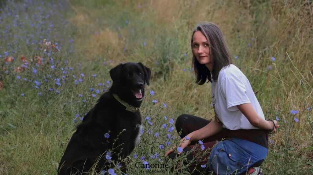 Séance d'éducation canine, ballade collective avec son chien, socialisation